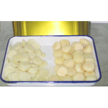 Canned Food Canned Water Chestnuts with Low Price